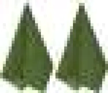 Набор полотенец Leaf green, размер 45х60 см. - 2 шт, цвет зеленый