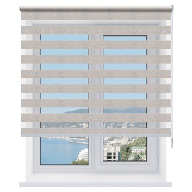 Рулонная штора День-ночь Dalin серый