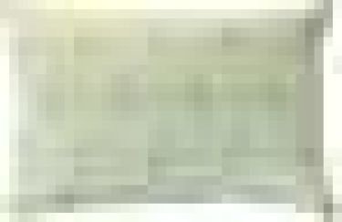 Подушка "Этель" Бамбук 40*60 см, тик