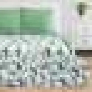 Постельное белье "Этель" Евро Еловые ветви 200*217 см, 240*220 см, 70*70 см - 2 шт