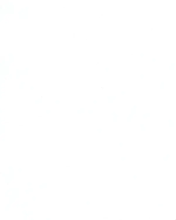 Однотонная белоснежная 41217